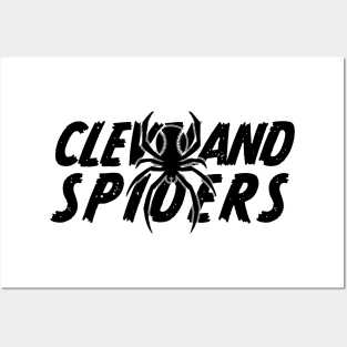 Defunct Cleveland Spiders Baseball 1887 Posters and Art